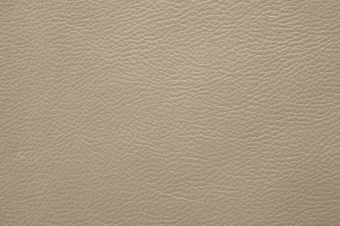 0073 Camel