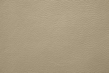 COVENTRY 0073 Camel surface sample