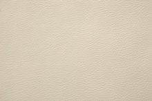 COVENTRY 0155 Cream surface sample