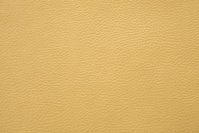 0646 Mustard