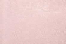 COVENTRY 1016 Soft Powder surface sample