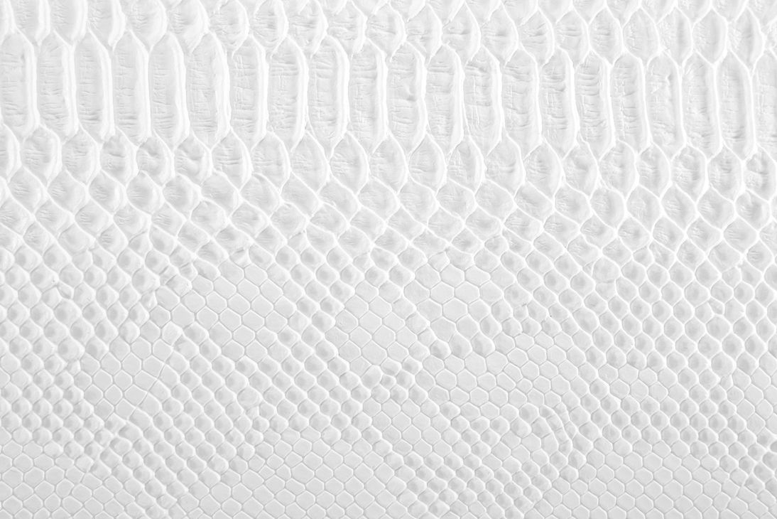 0002 White