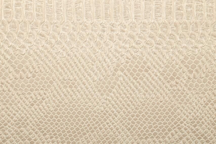 6015 Cream