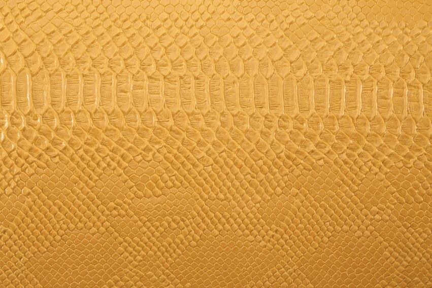 6016 Mustard