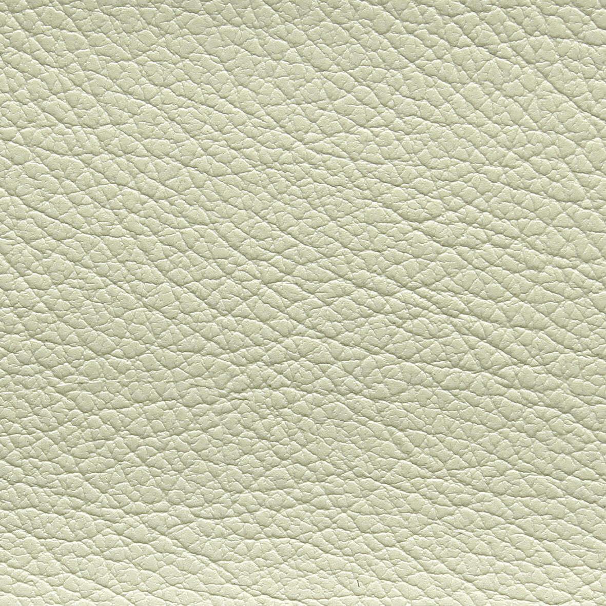 4242 Cream