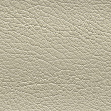 FORCE 4244 Mink surface sample