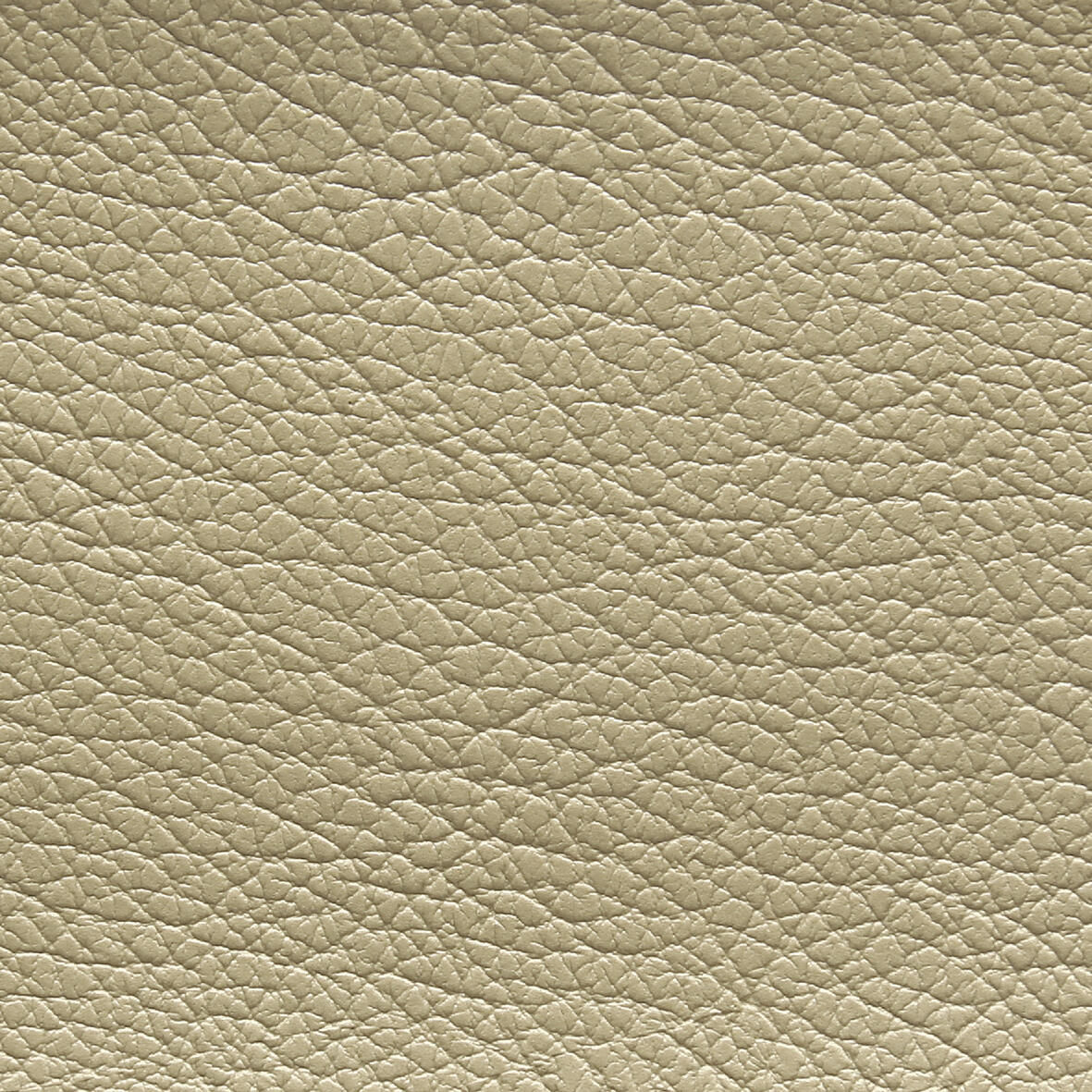 4245 Chanel