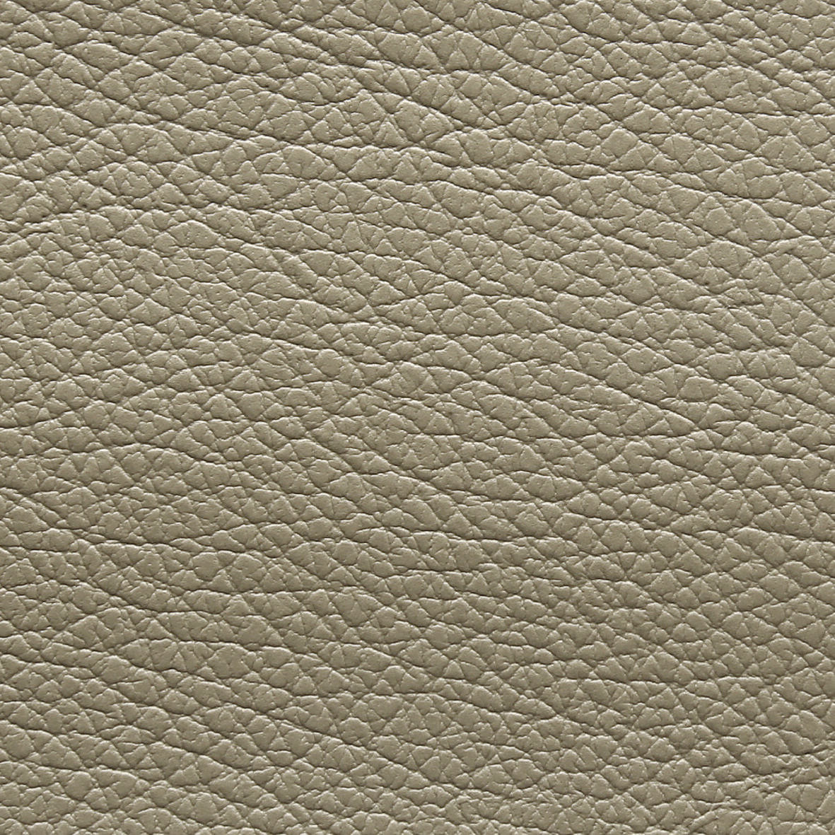 4246 Cappuccino