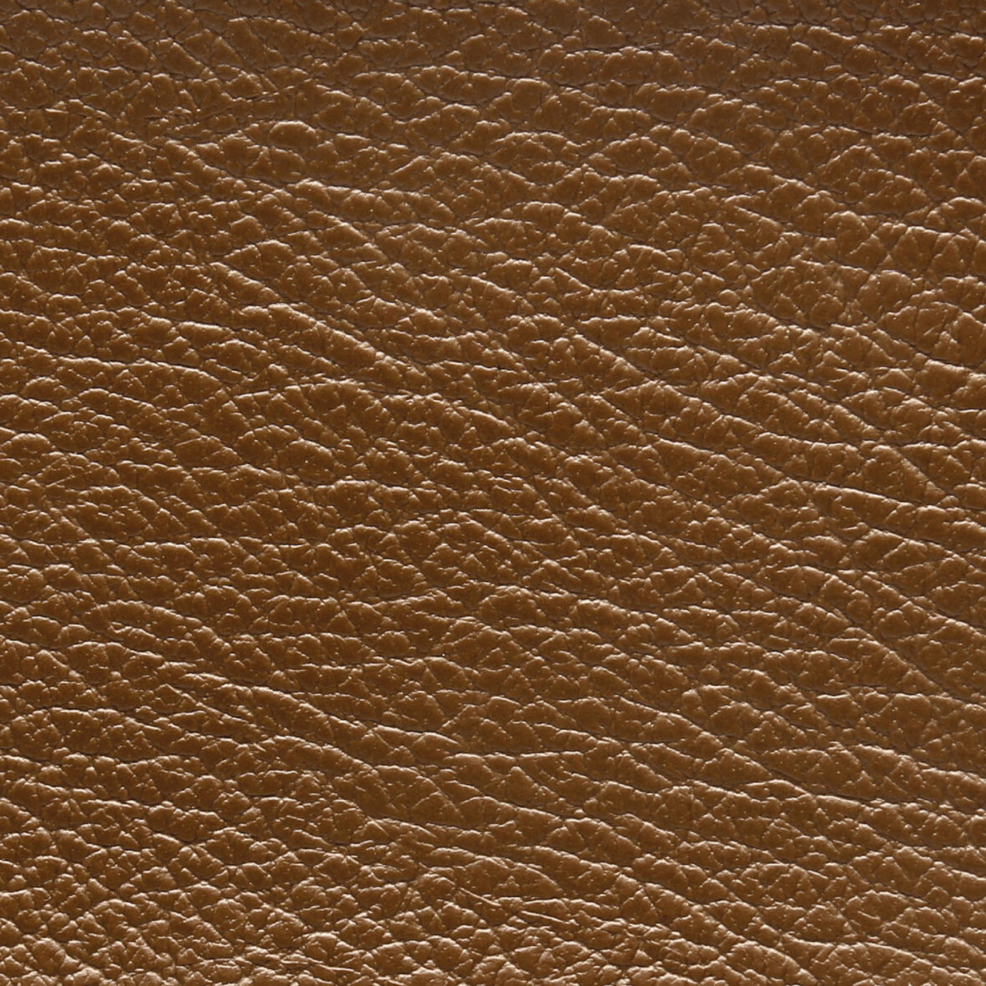 FORCE 4247 Tan surface detail