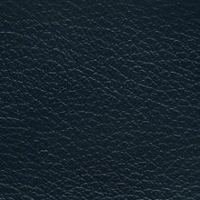 FORCE 4251 Navy surface sample