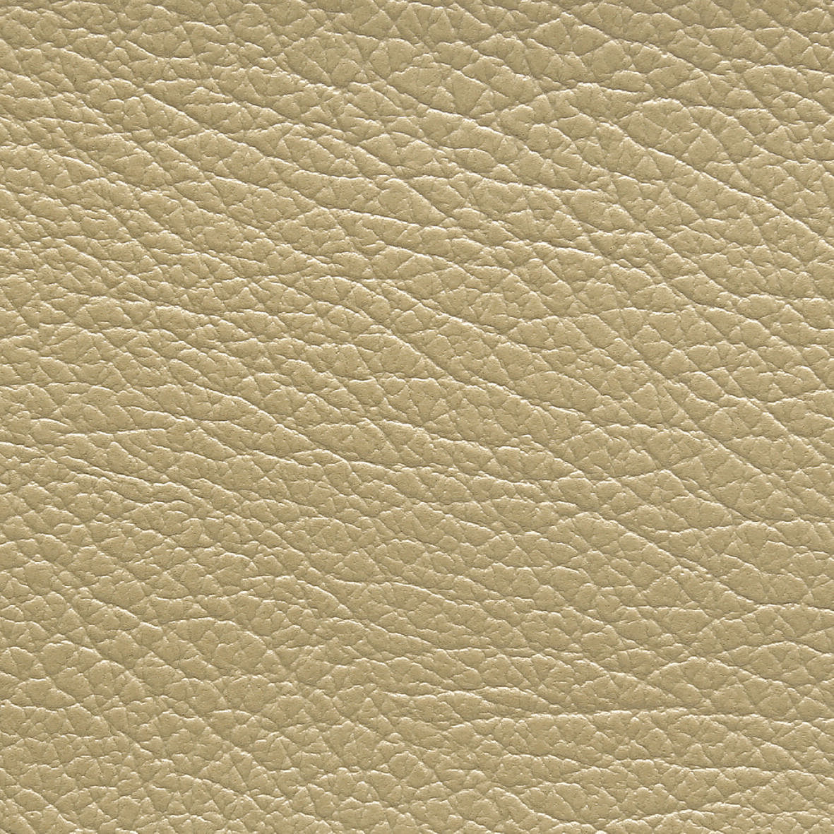 4255 Camel