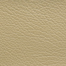 FORCE 4255 Camel surface sample