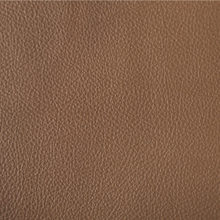 FORMULA 2788 Tan surface sample
