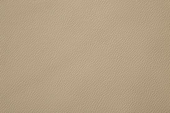 0147 Chanel