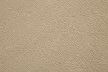 FRENZE 0147 Chanel surface sample