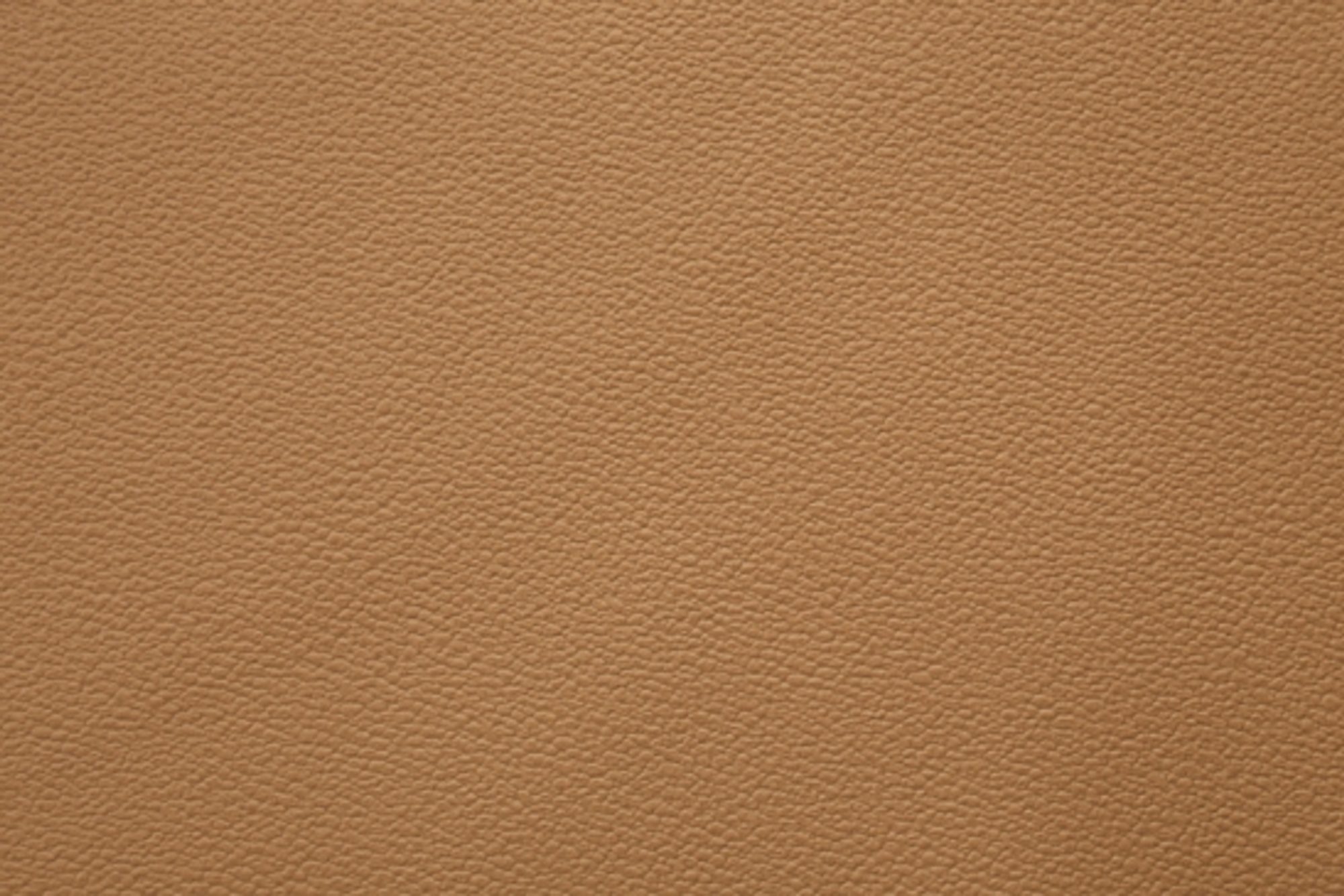 FRENZE 0576 Tan surface detail
