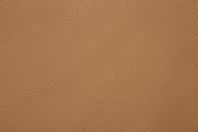 FRENZE 0576 Tan surface sample