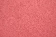 FUTURO 0868 Pomegranate surface sample