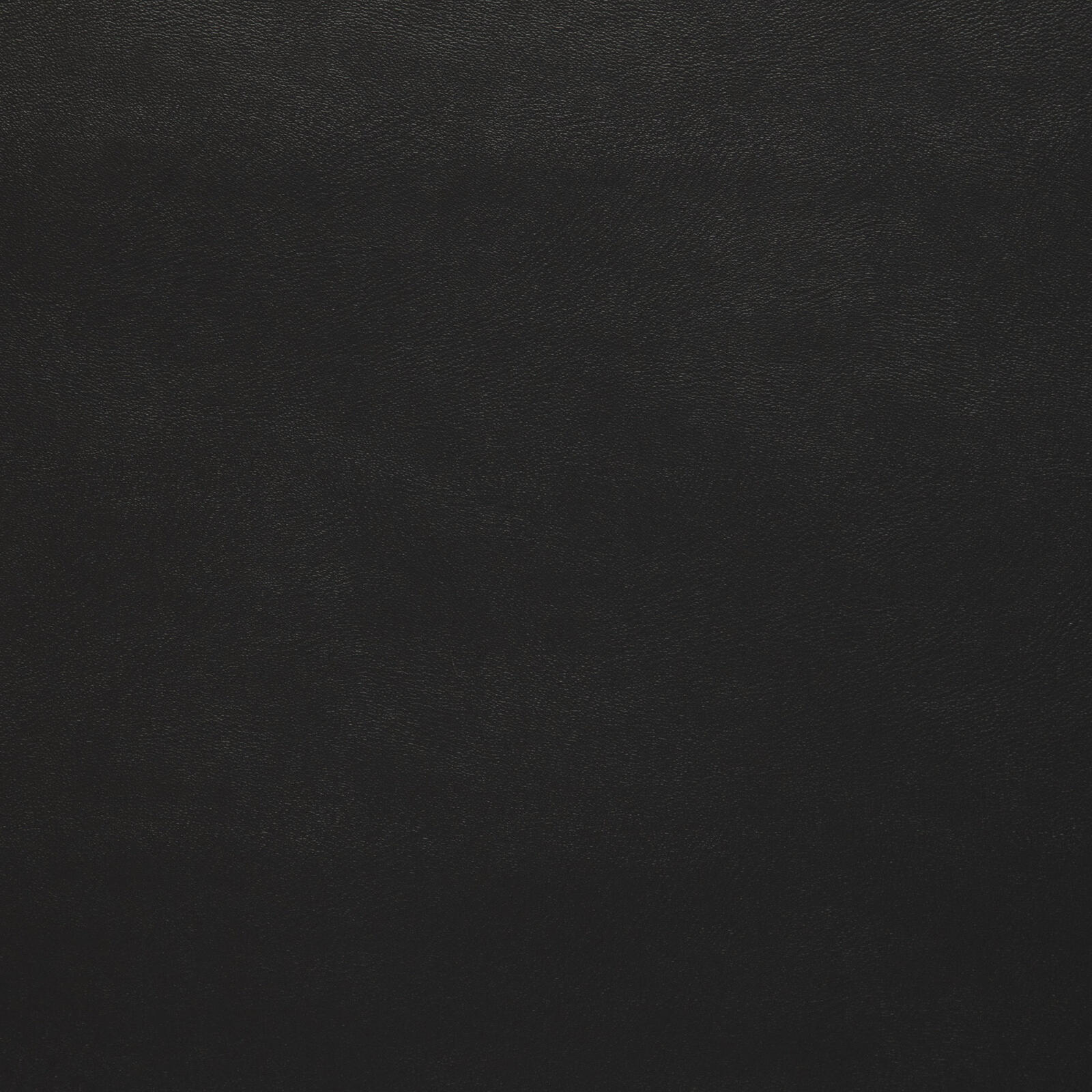 7169 Anthracite