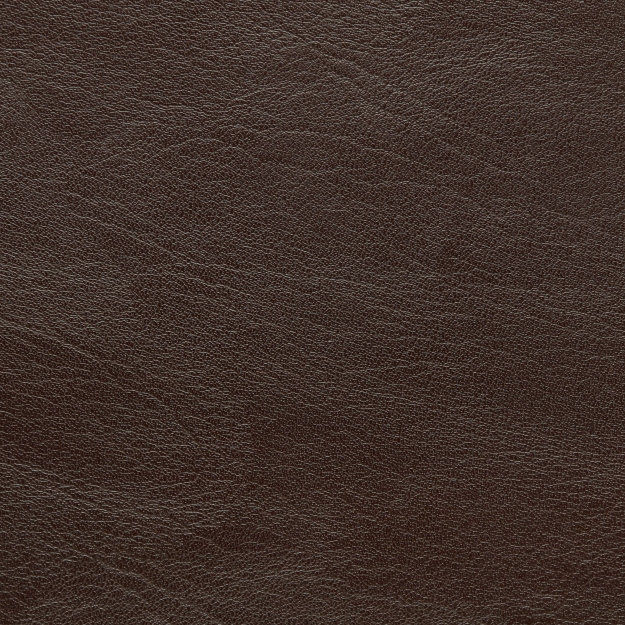 7171 Brown