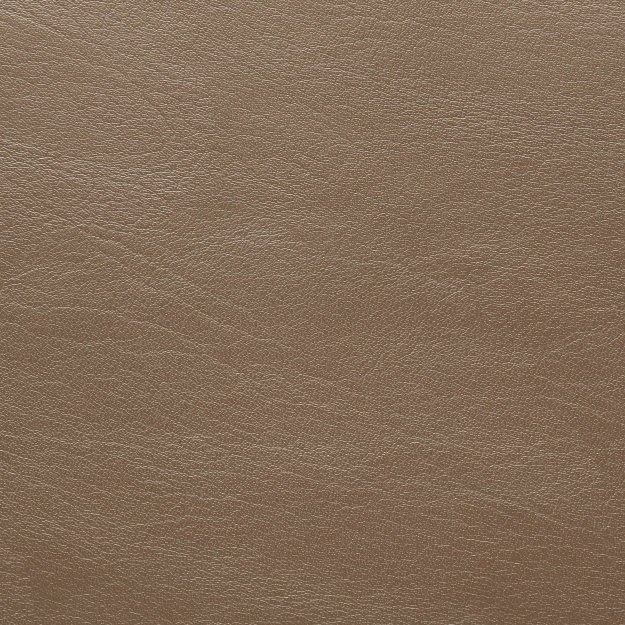 7174 Cappuccino