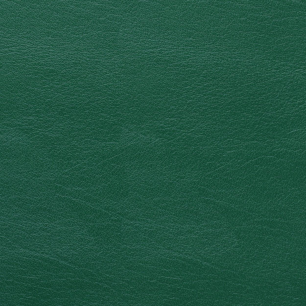 7266 Forest Green