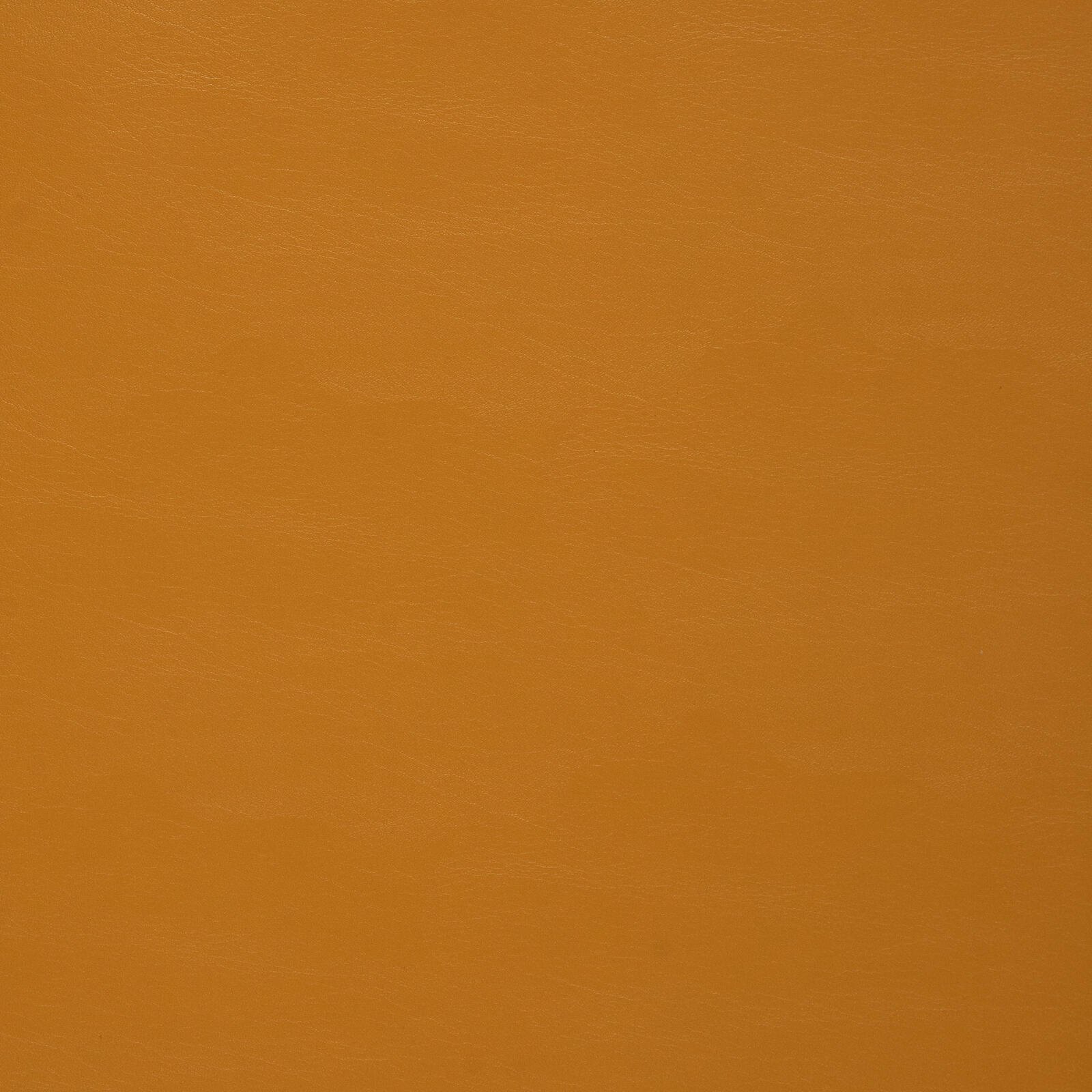 3770 Mustard