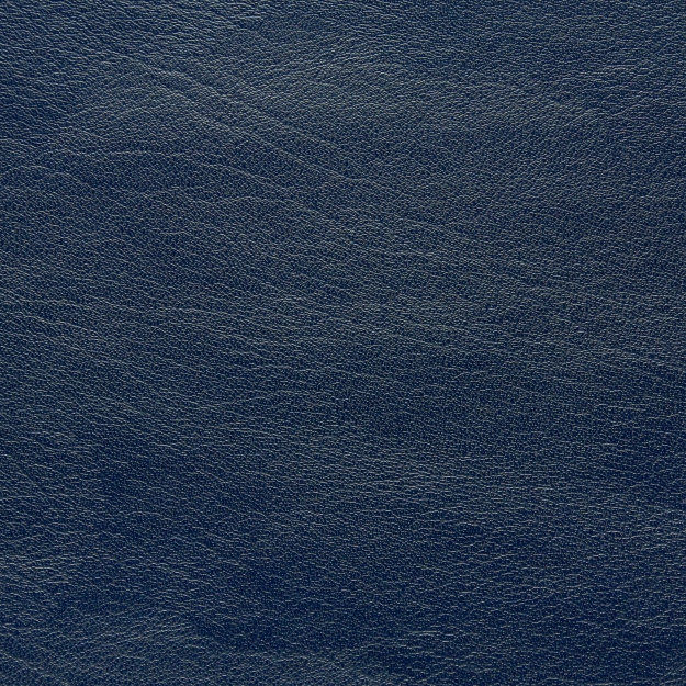 7092 Navy
