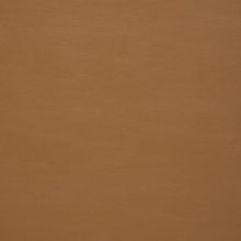 GALATA 2326 Salmon surface sample