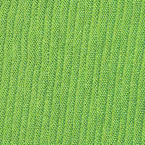 3064 Kiwi