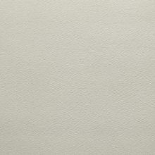 IŞILTI 2354 Cream surface sample