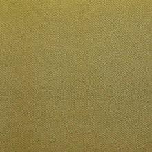 IŞILTI 2367 Mustard surface sample