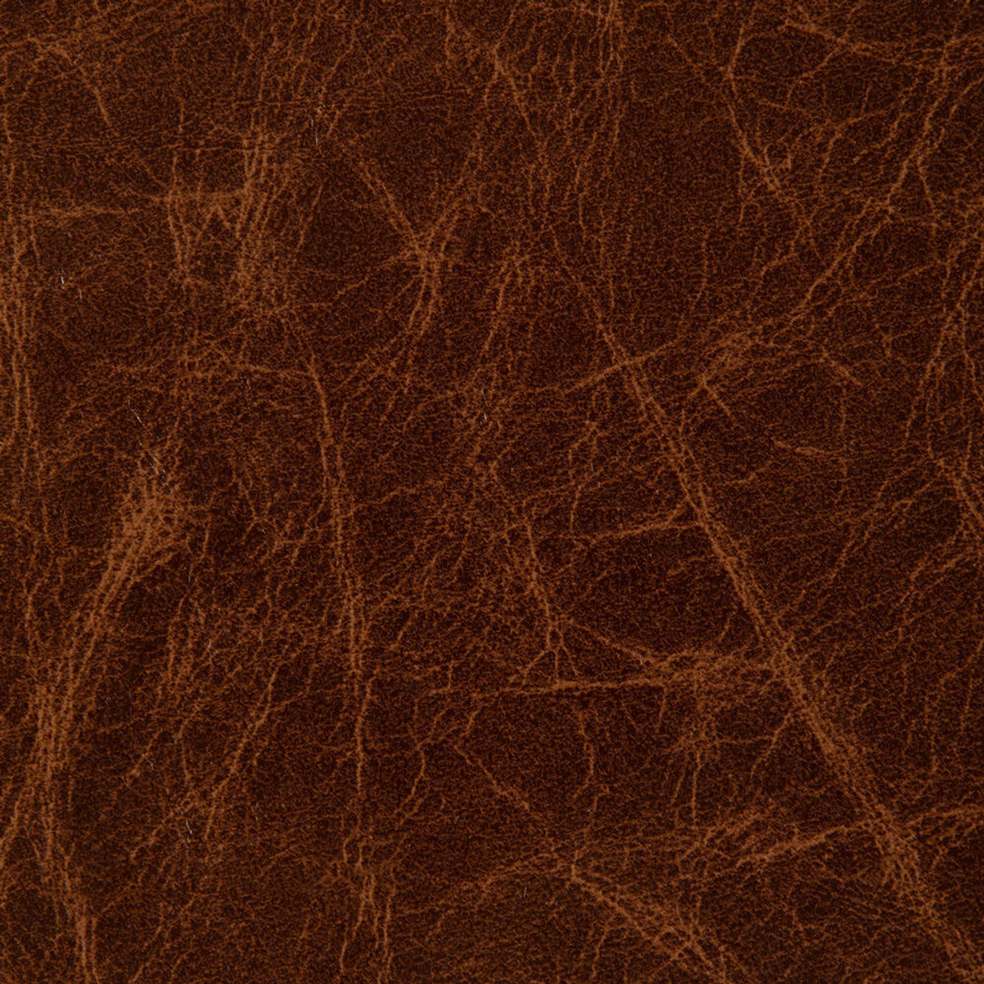 JAGUAR 8081 Camel material surface