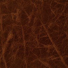 JAGUAR 8081 Camel surface sample
