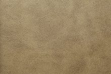 KUZU 7388 Onion surface sample