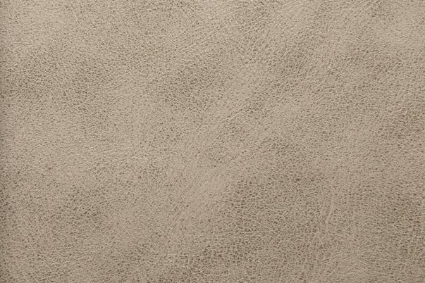 7389 Cappuccino