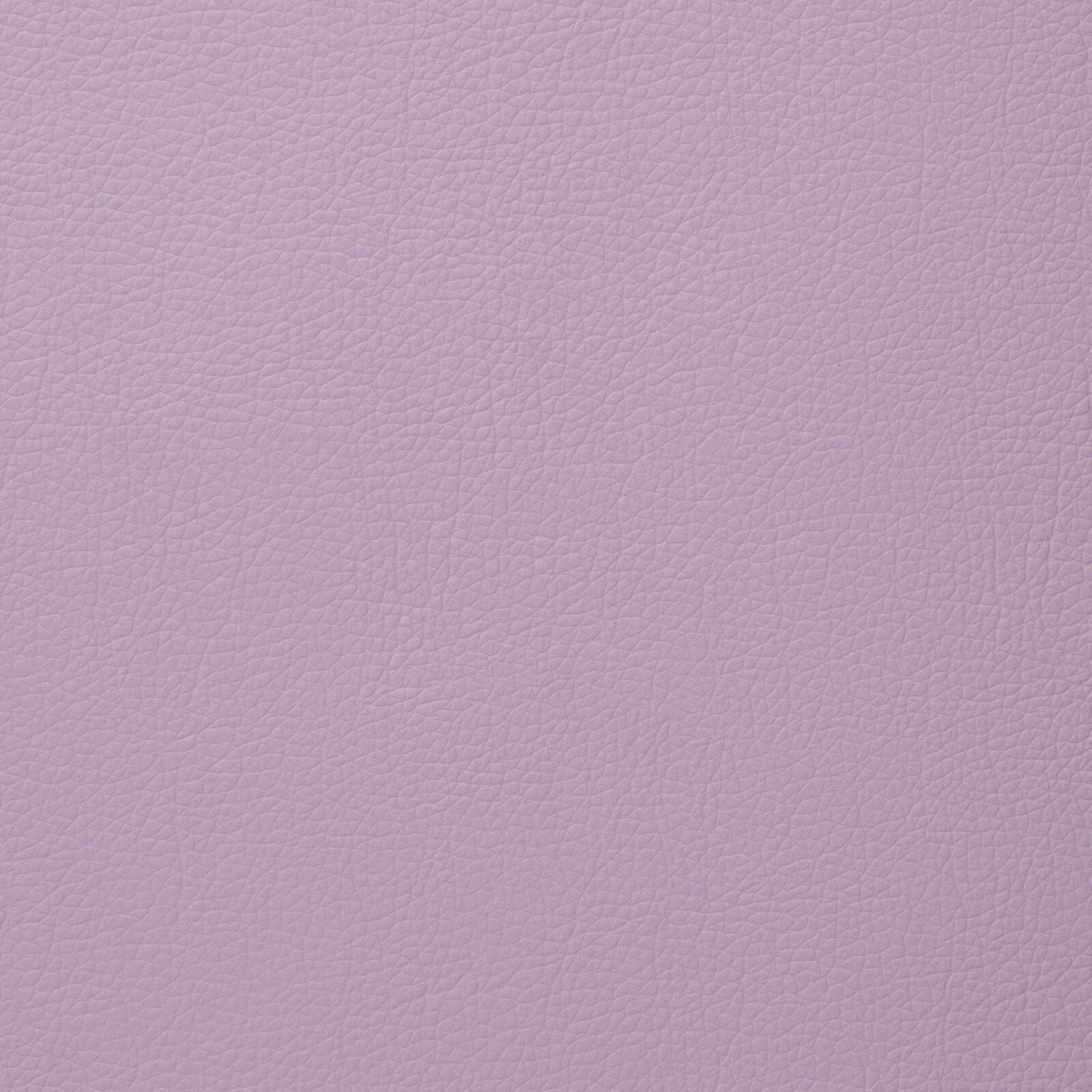 3235 Lilac