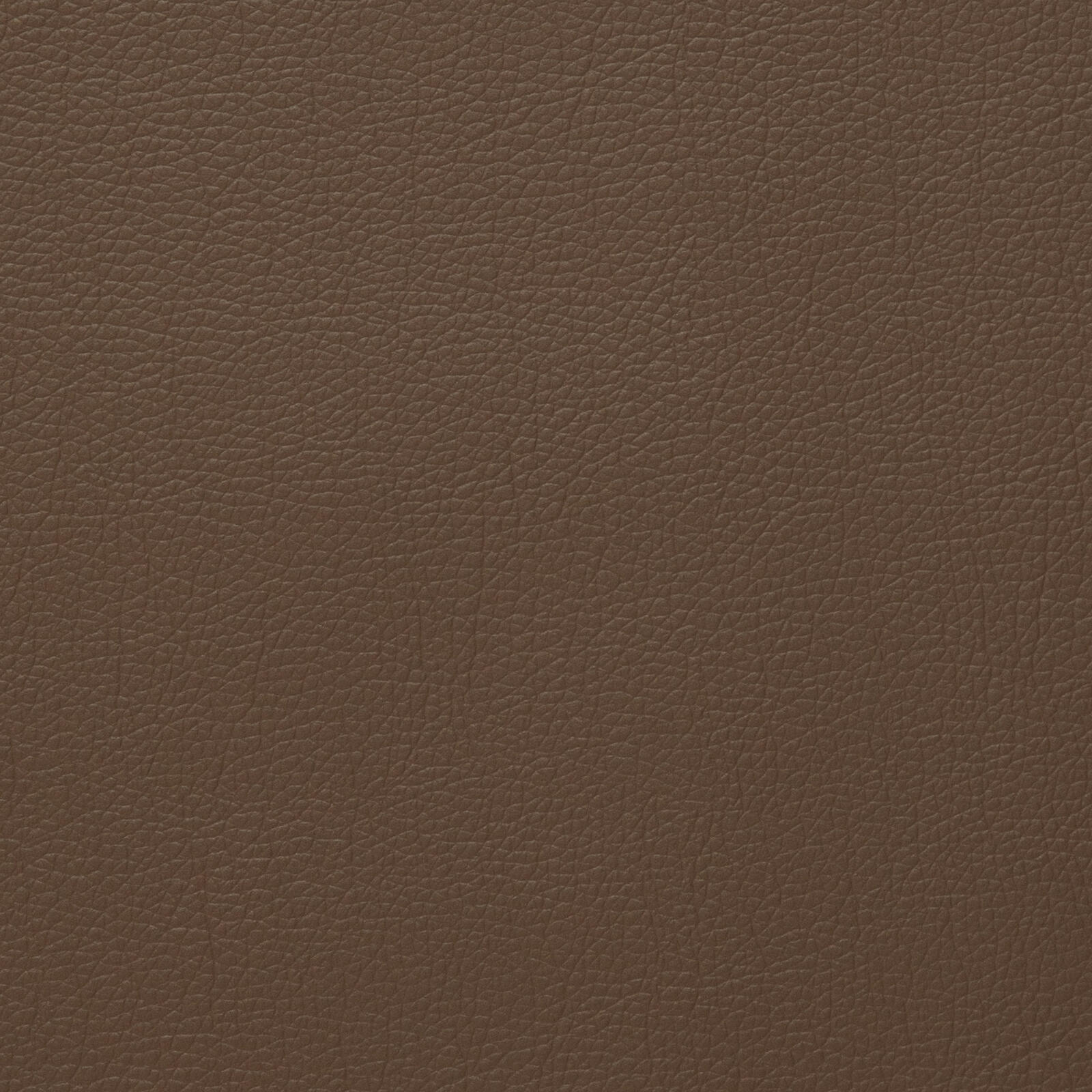 3225 Mink