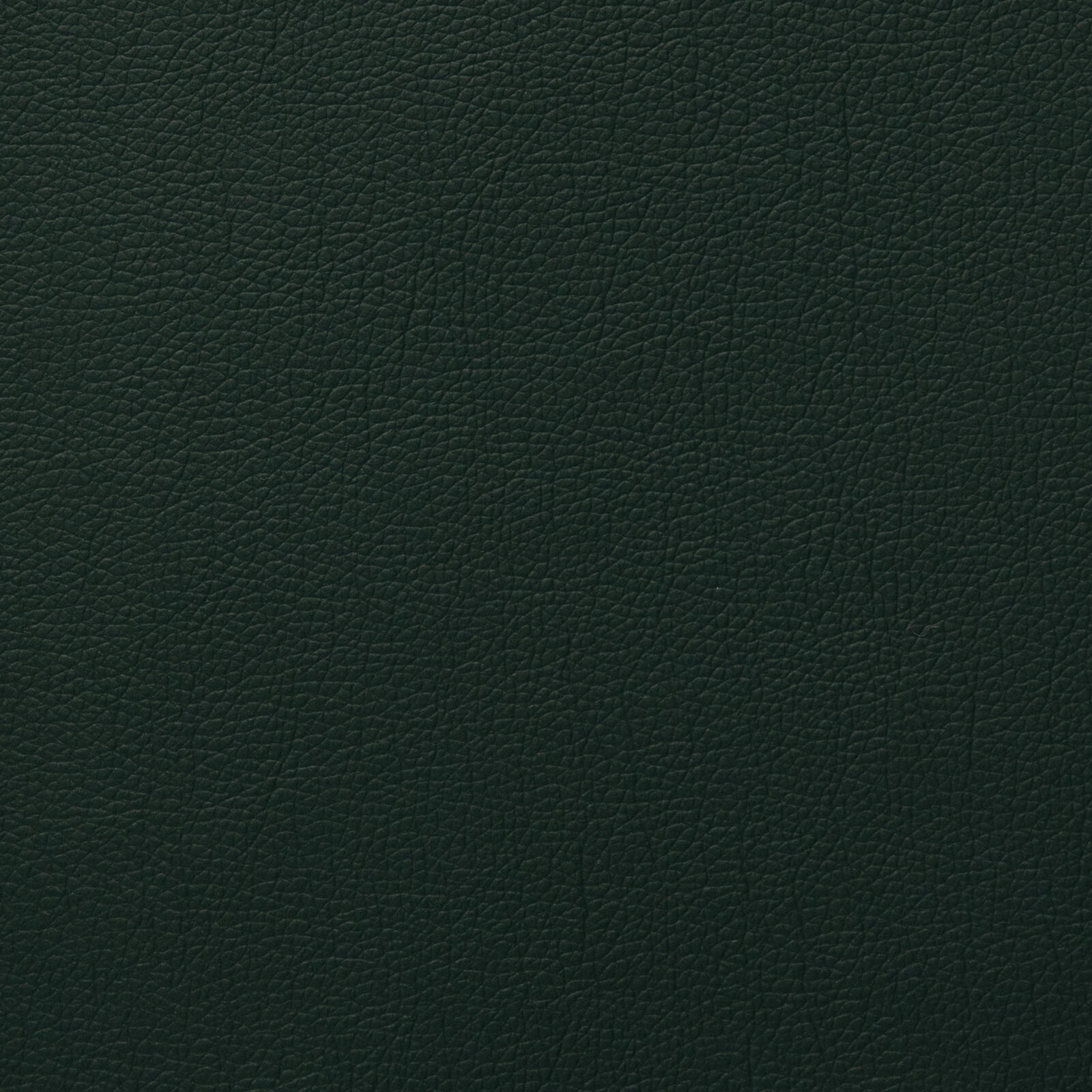 3230 Olive