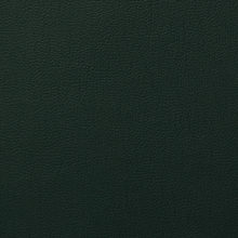 LARA 3230 Olive surface sample