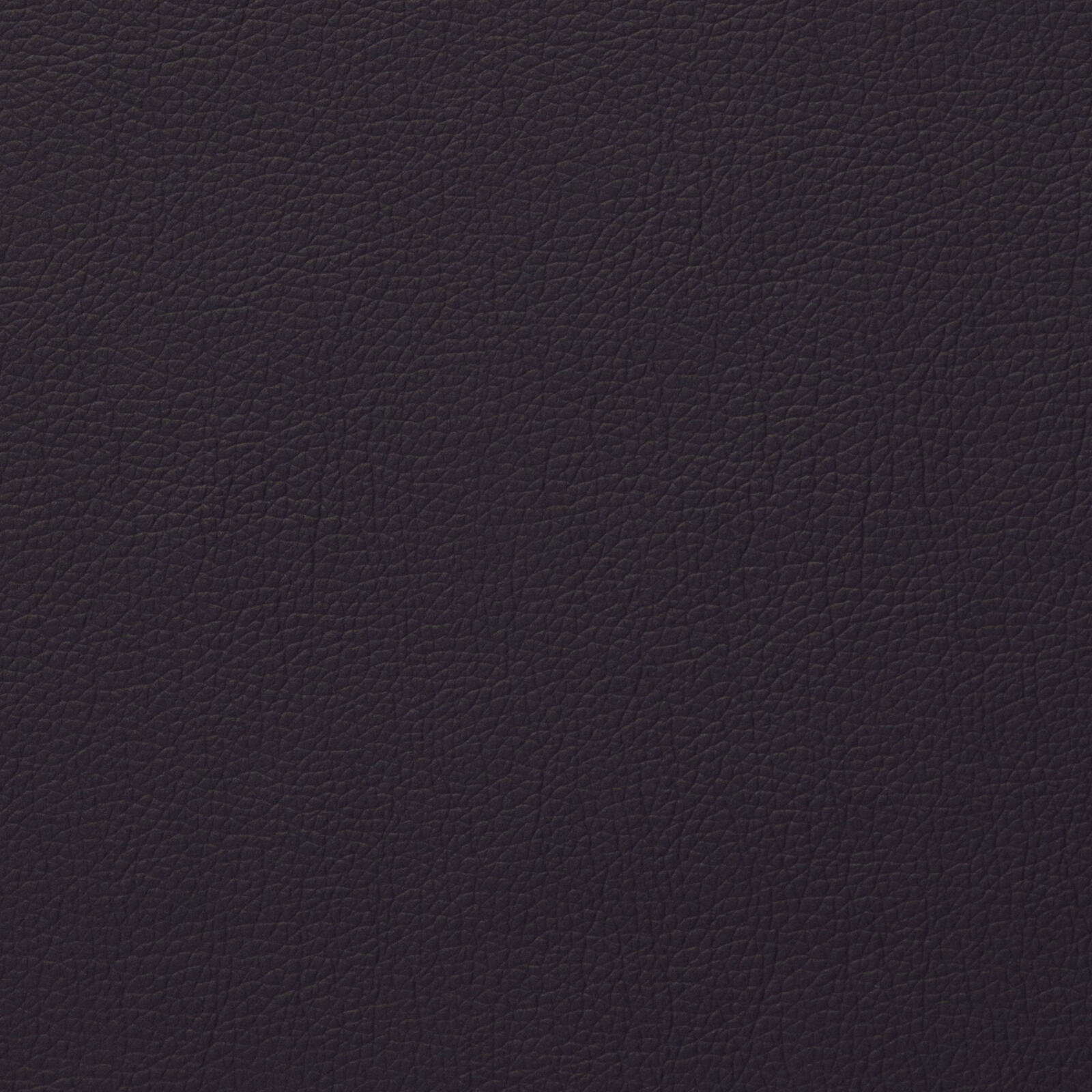3238 Purple