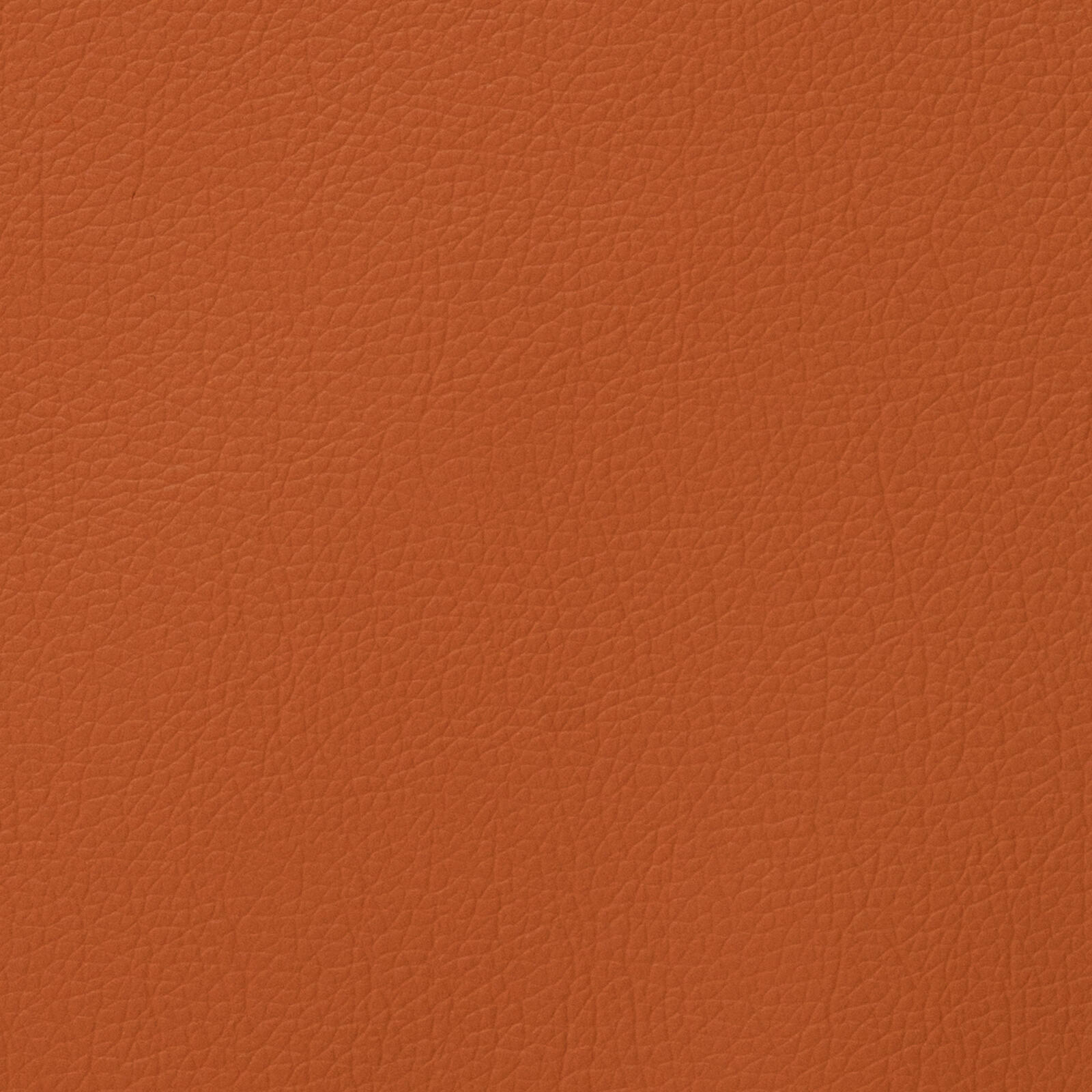 3226 Tan