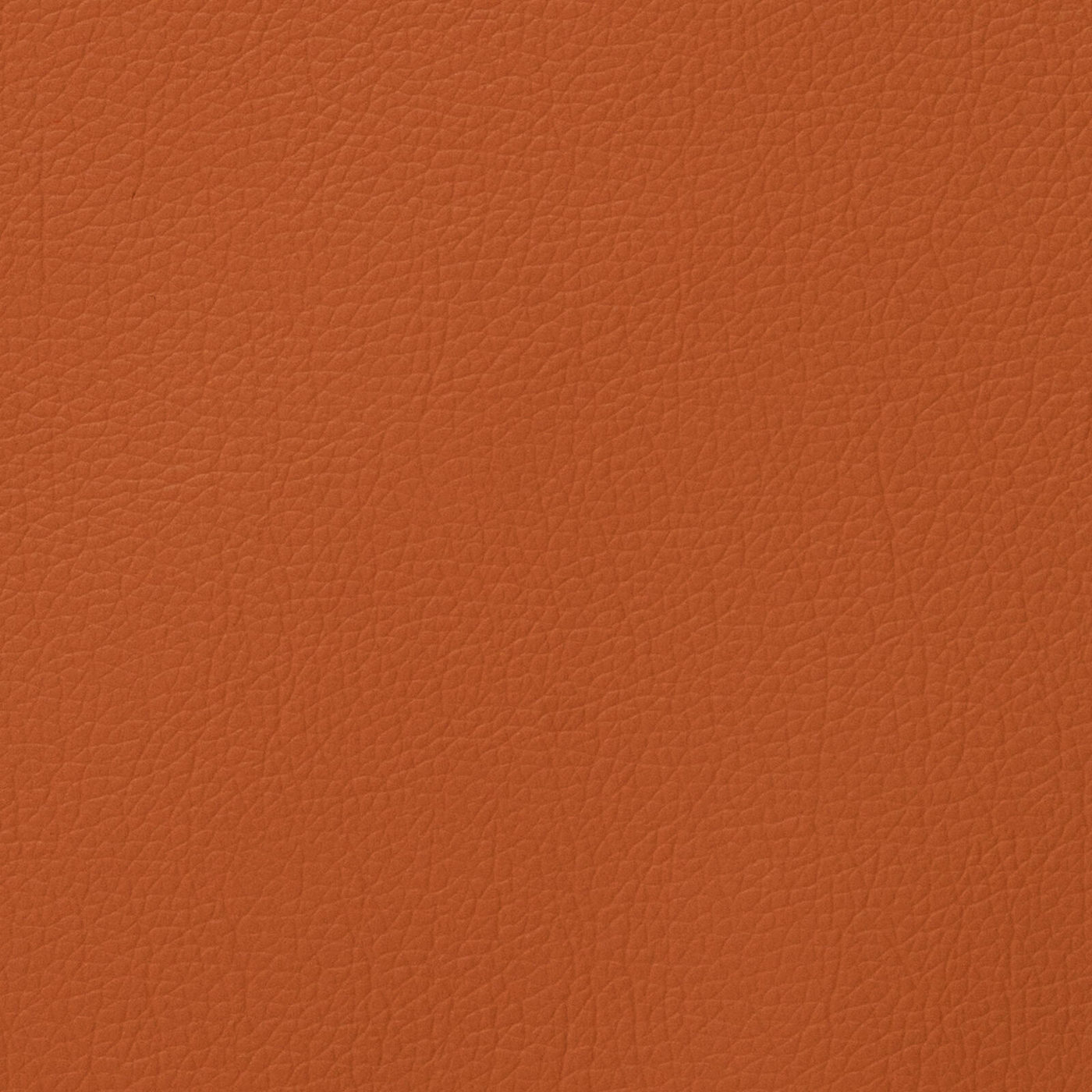 LARA 3226 Tan material surface