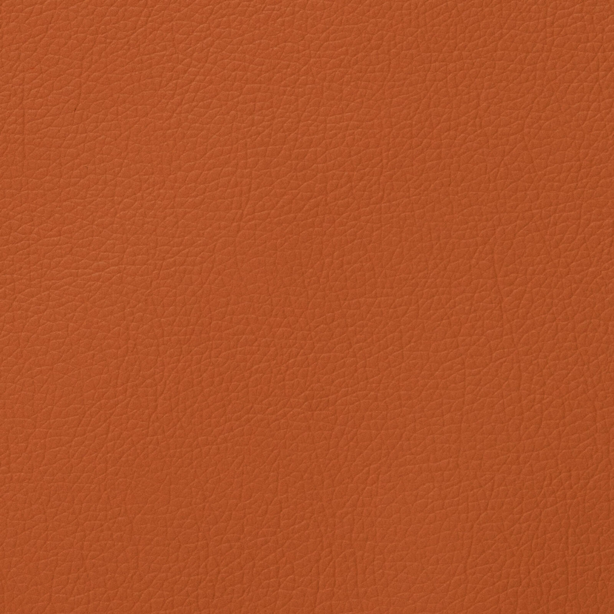 LARA 3226 Tan surface detail