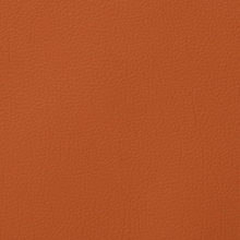 LARA 3226 Tan surface sample