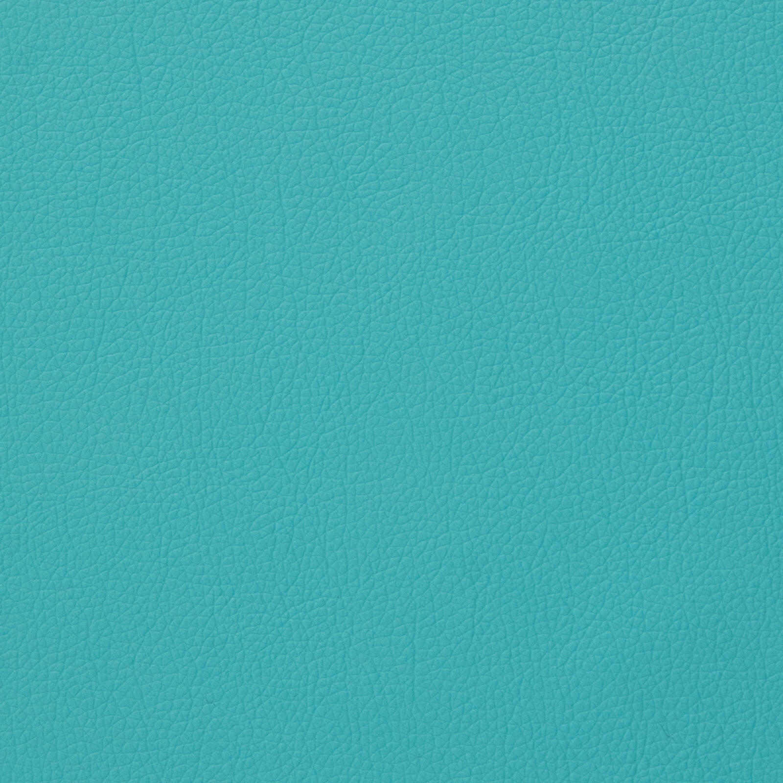 3239 Turquoise