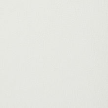 LARA 0002 White surface sample