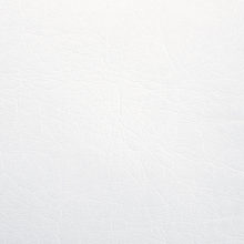 LINCOLN 0002 White surface sample