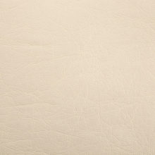 LINCOLN 0003 Cream surface sample