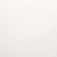 LINCOLN 0172 Dark White surface sample